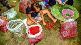 [Translate to English:] Flower und Gewürzmarkt in Bangkok