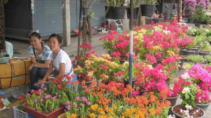 Chatuchak flower market